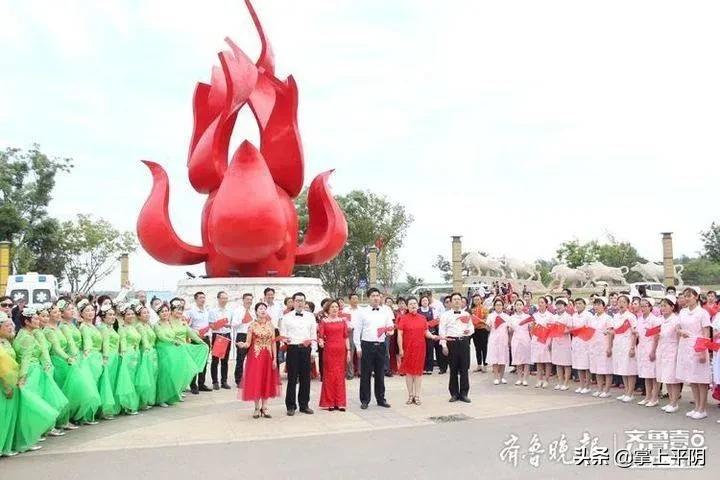 平阴县卫生健康局新项目，推动健康县城建设的新引擎