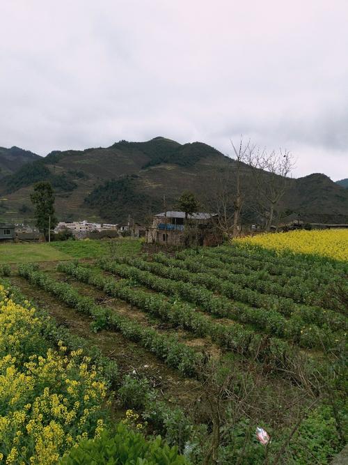 严务乡天气预报更新通知