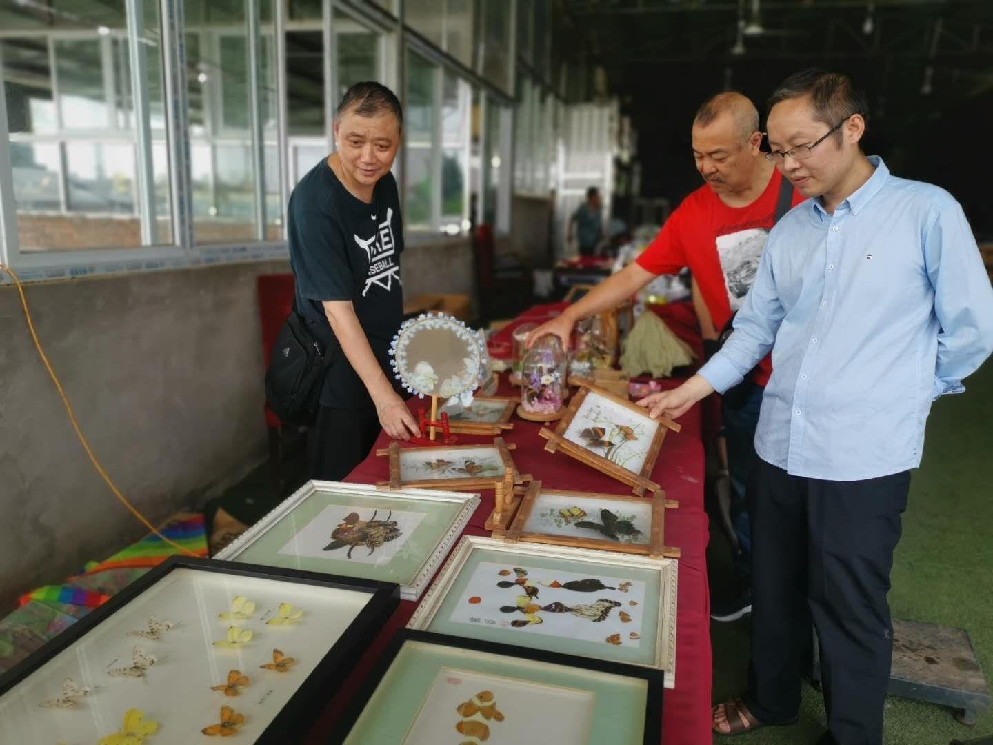 龙马潭区统计局最新动态报道