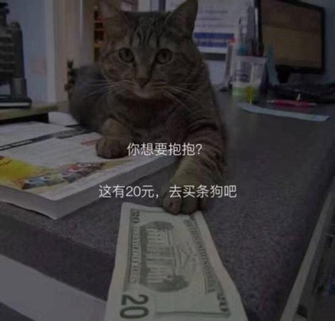 多地曝出免费领养猫咪纠纷事件，宠物免费领养背后的套路与规避方法