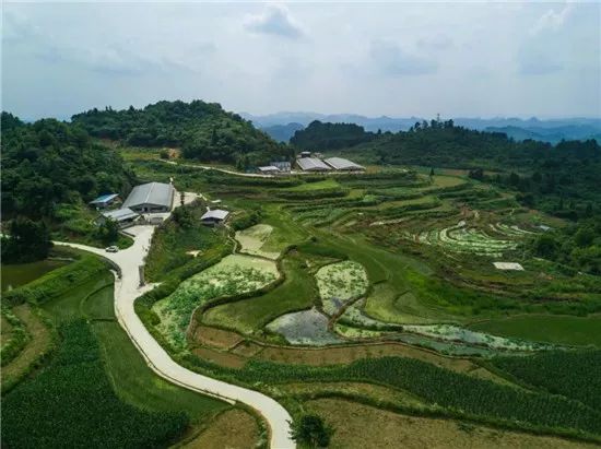 候家寨乡领导团队引领地方发展新篇章