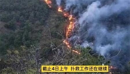 观山村委会新项目，乡村振兴与社区发展的融合实践探索