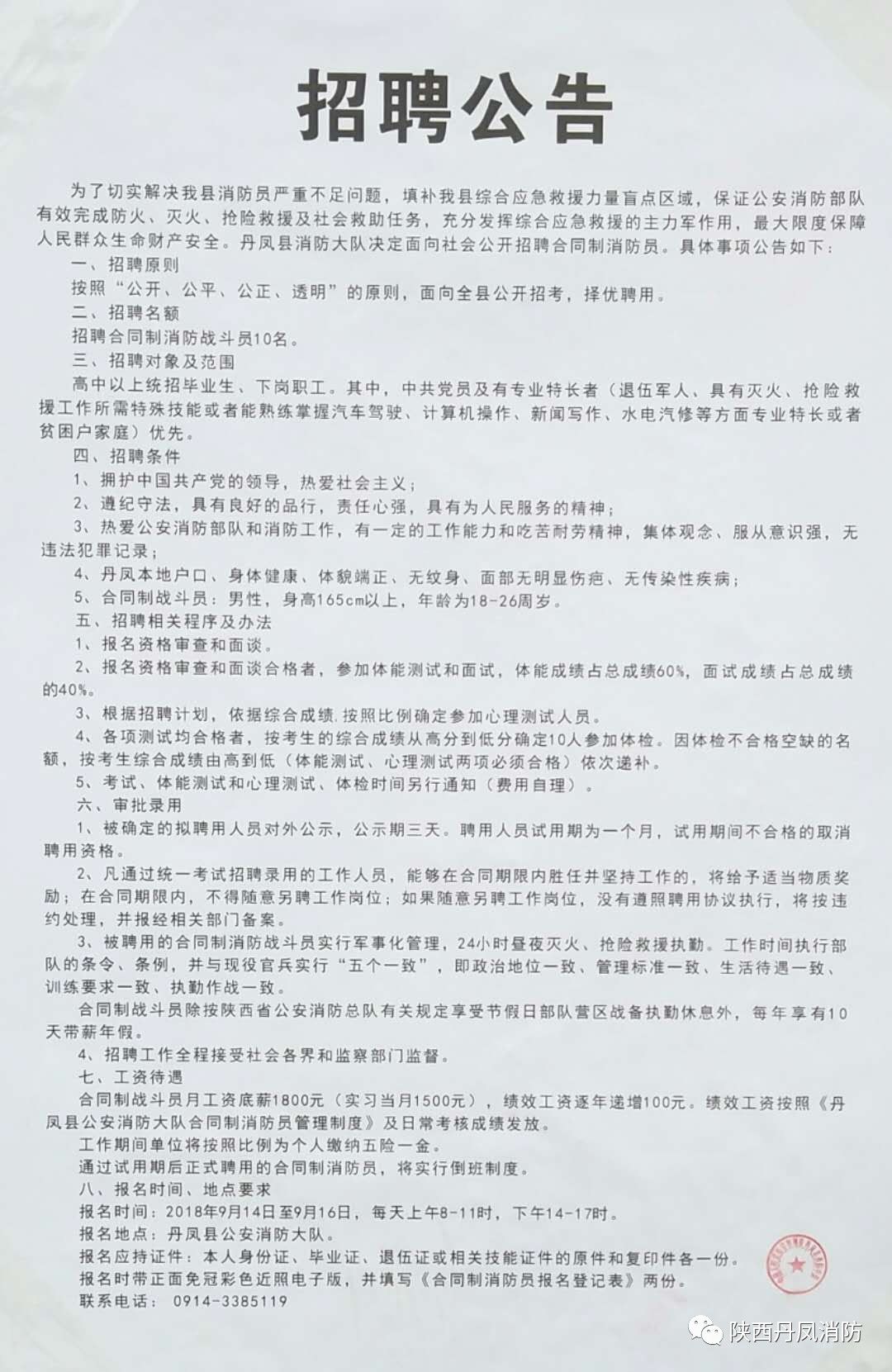 抚远县人民政府办公室最新招聘公告详解