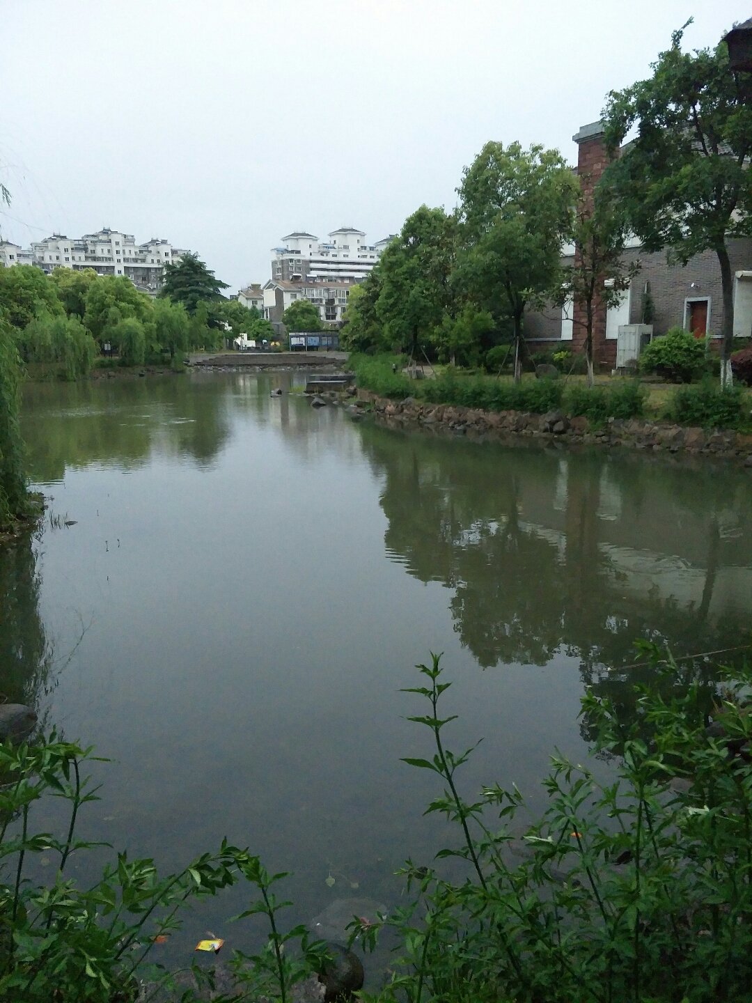 湖塘镇天气预报更新通知