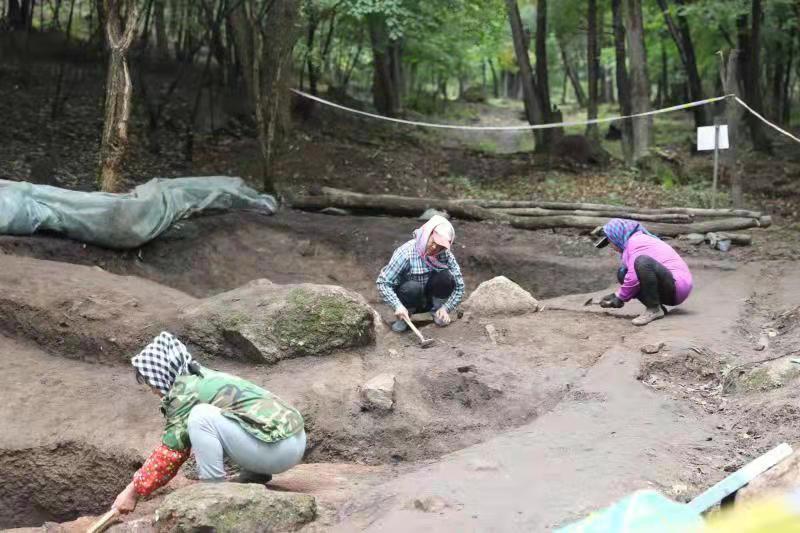 磐石市文化广电体育和旅游局新闻综述，最新动态与成就展示