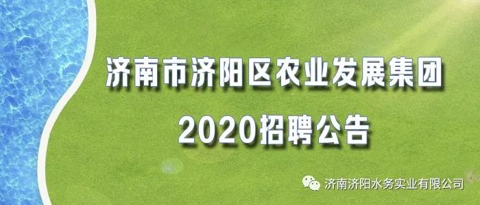 烟台市农业局最新招聘启事概览