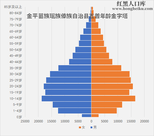 金平苗族瑶族傣族自治县统计局发展规划，探索未来，县域经济高质量发展之路