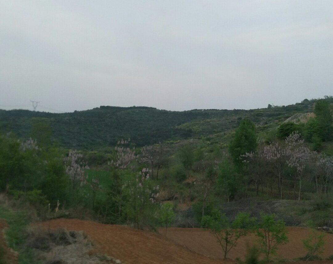 马皮乡天气预报更新通知