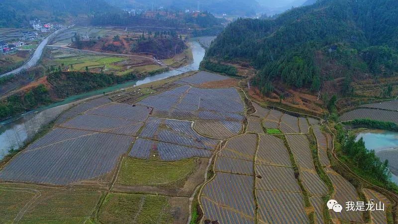 红岩溪镇最新项目，地区发展的强大引擎领航前行