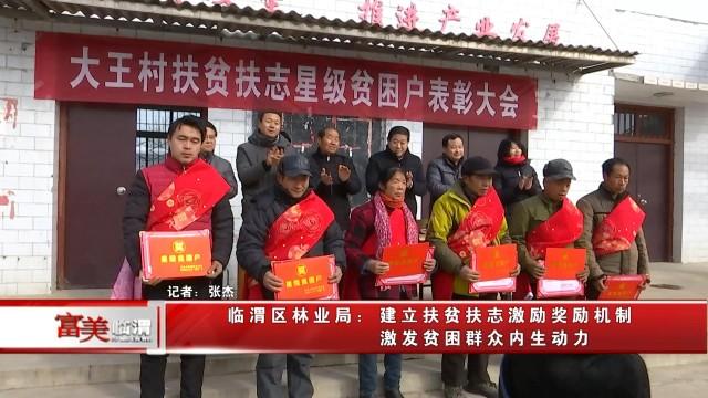 临渭区发展和改革局最新项目动态概览