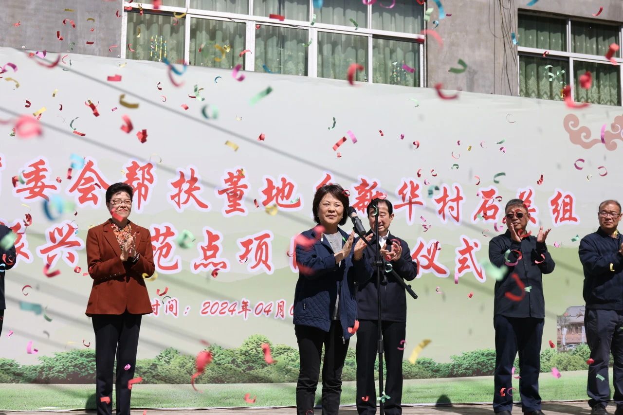 石关村委会最新项目，乡村发展典范引领之路