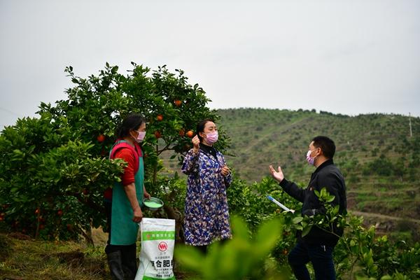 惠农区卫生健康局最新招聘启事