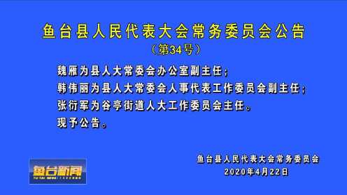 鱼台县剧团人事重塑，团队力量展望崭新未来