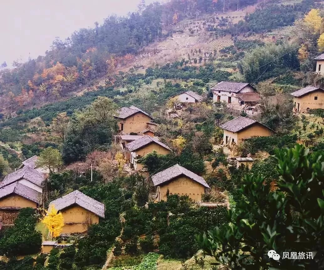 五举农场崖子分场居委会天气预报更新通知