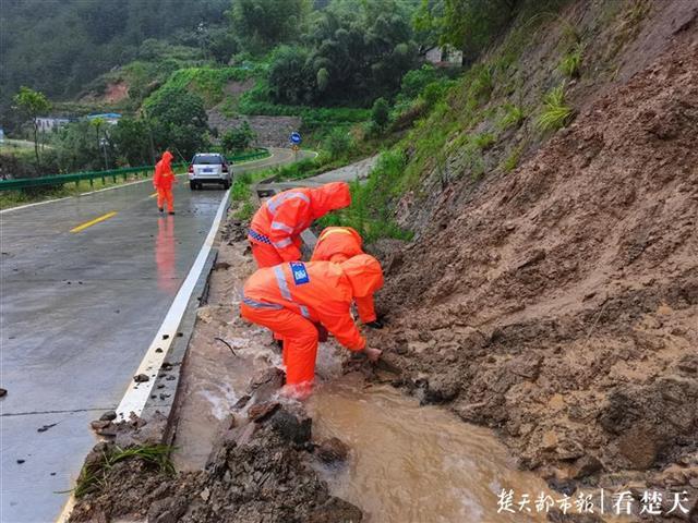 英山县公路运输管理事业单位最新项目概览，细节解析与进展报告