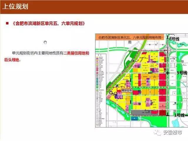 资兴市小学未来教育蓝图发展规划揭秘