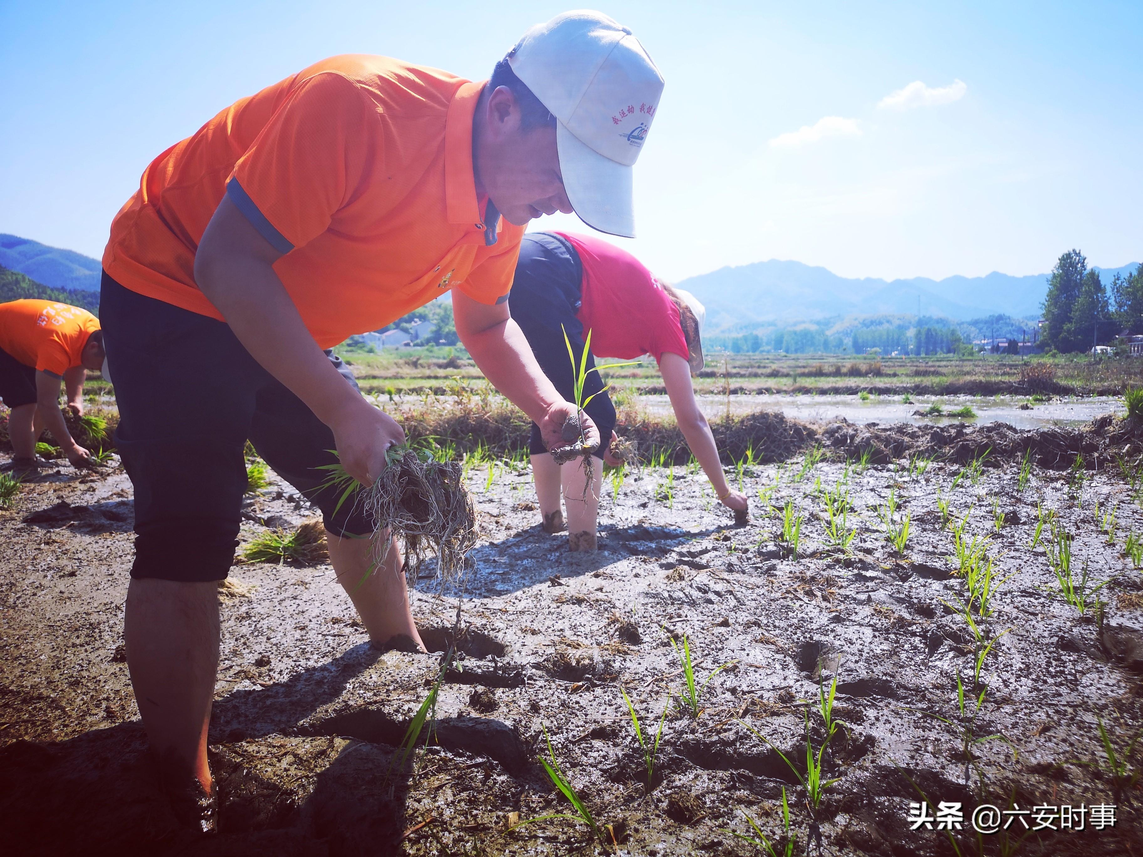 裕安区发展和改革局最新项目进展动态