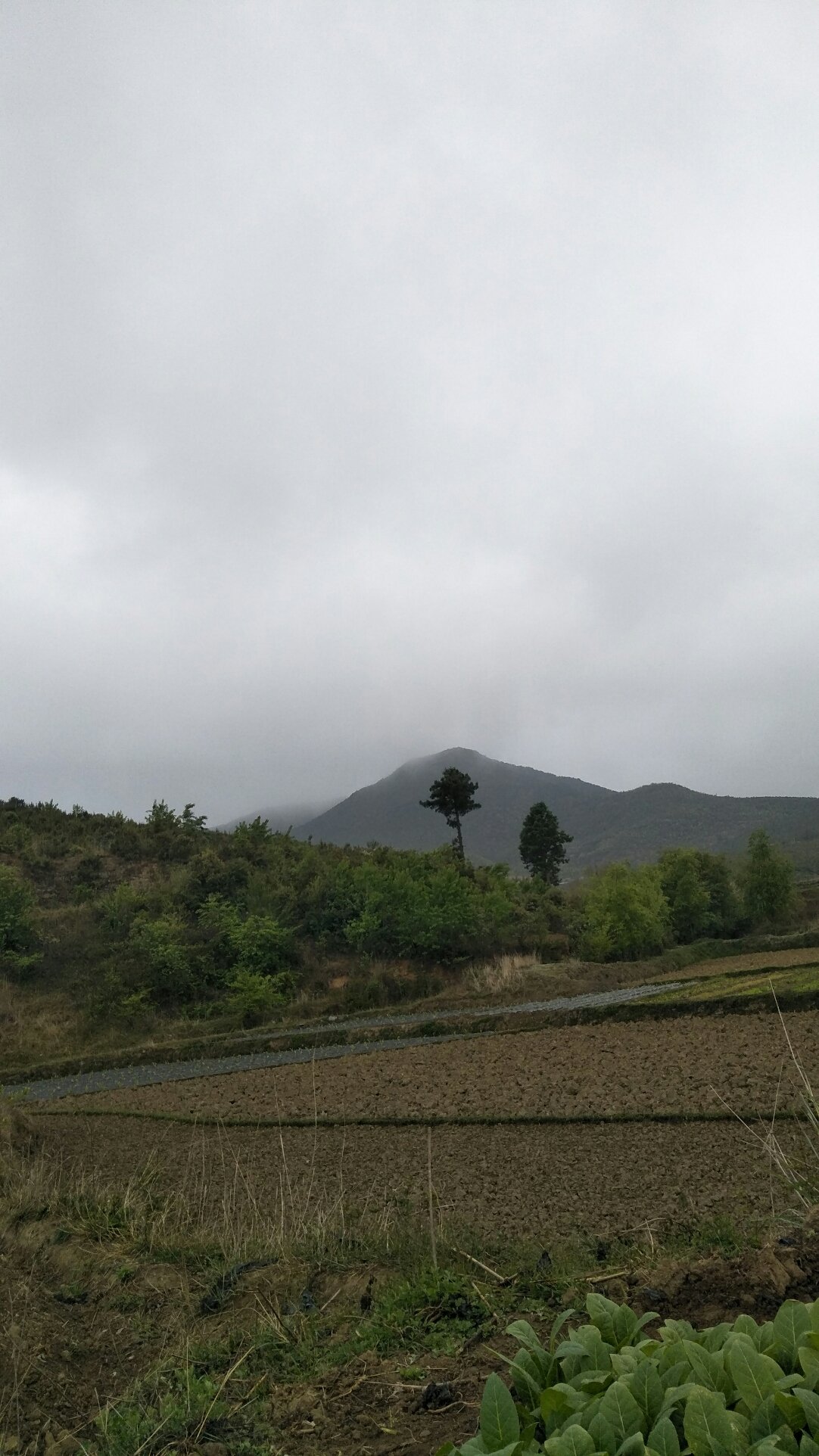 窟窿山乡天气预报更新通知