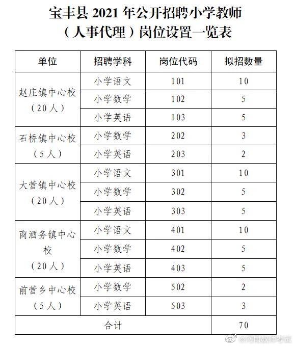 宝丰县小学最新招聘启事概览