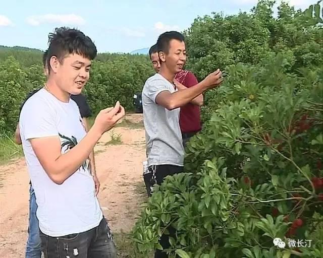 河田镇未来繁荣新蓝图，最新发展规划揭秘