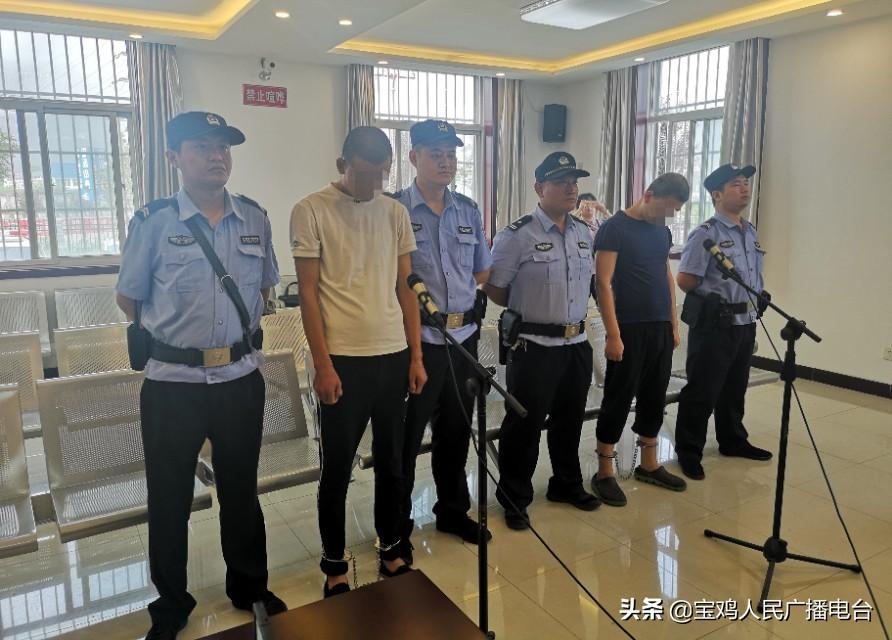 渭滨区公路运输管理事业单位新闻动态解析